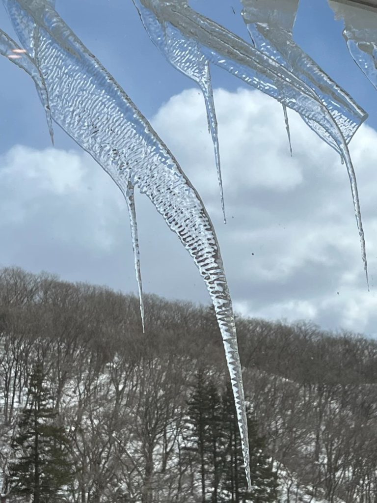 カフェまどか［那須］窓の外のつららが芸術的です